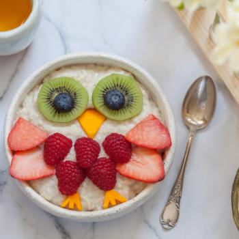 Foto de um mingau de aveia com frutas formando a imagem de uma coruja, que é um exemplo de alimento probiotico