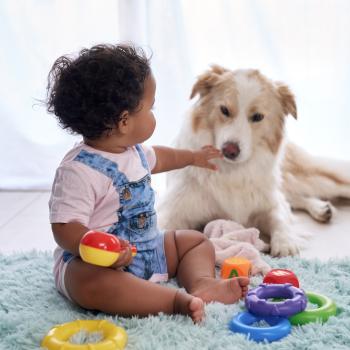 Bebê e cachorro interagindo sentados no chão da sala, enquanto o bebê brinca também com alguns brinquedos