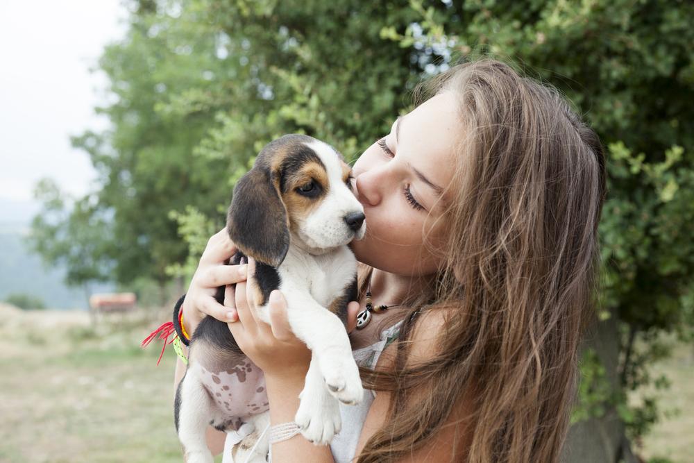 Cachorro para crianças: como e quando trazer um para a família?