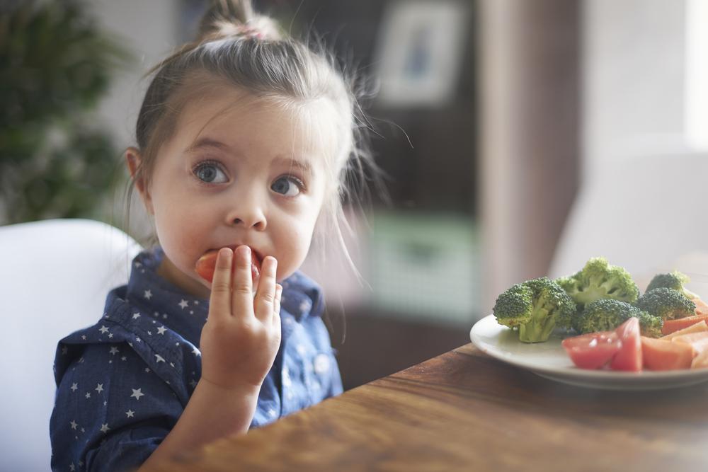 Mastigação e Recusa Alimentar: qual é a relação?