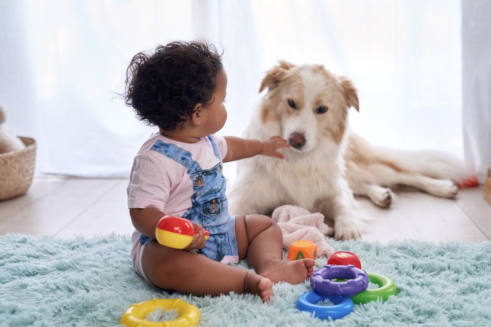 Bebê e cachorro interagindo sentados no chão da sala, enquanto o bebê brinca também com alguns brinquedos